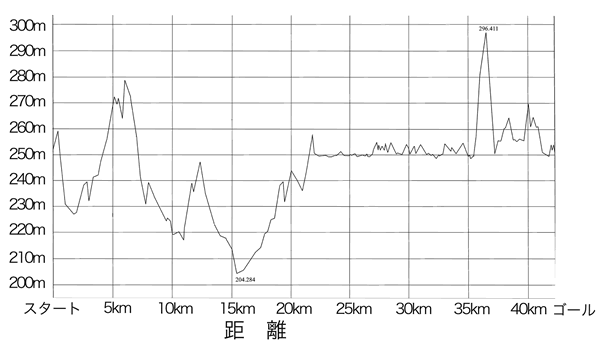 フルマラソン高低図