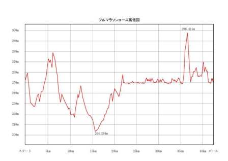 フル高低図(小)