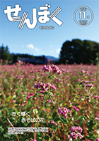 広報11月1日号の表紙は、田沢湖生保内地区の赤そば畑の様子。赤そばの品種、高嶺ルビーの赤い花が一面に広がっています。クリックで目次にリンクします。