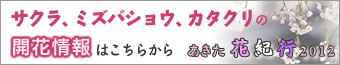 �T�N���A�~�Y�o�V���E�A�J�^�N���A��k�s�̏t�̊J�ԏ��͂����炩��@�y�������ԋI�s2012�z