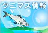 �N�j�}�X���