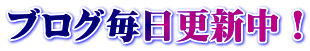 ブログ毎日更新中!