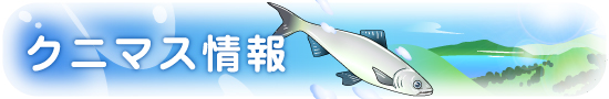 クニマス情報
