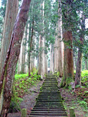 金峰神社参道杉並木