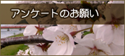 �A���P�[�g�̂��肢