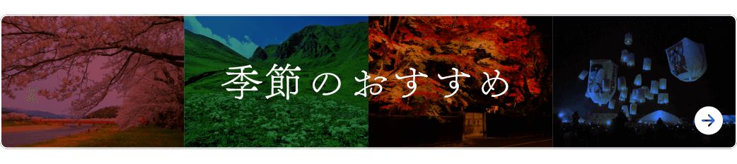 季節のおすすめ