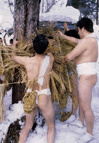 Naked Pilgrimage of Matsuba and Ainai