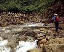 Mountain Stream Fishing