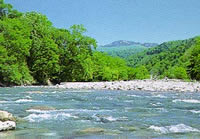 Tamagawa mountain stream