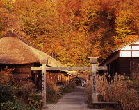 Tsurunoyu Hot Springs