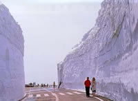 Hachimantai Aspite Line (Corridor of Snow)