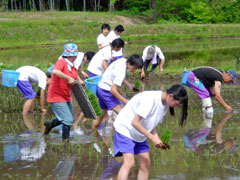 田植え体験学習