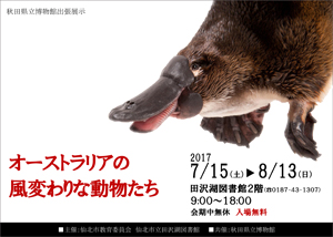 秋田県立博物館出張展示
<br>
「オーストラリアの風変わりな動物たち」ポスター