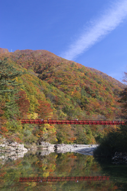 抱返り渓谷の紅葉の様子