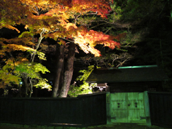 角館武家屋敷通り紅葉ライトアップの様子