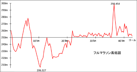 フル高低図(小)