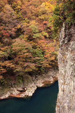 抱返り渓谷の紅葉の様子