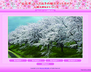 さくら閲覧画面TOP