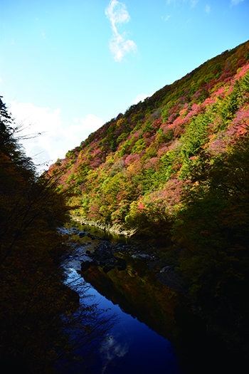 抱返り渓谷の紅葉の様子（写真は平成30年撮影）