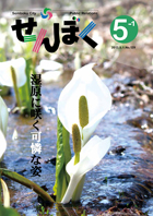 広報せんぼく平成25年5月1日号目次へ