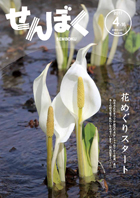 平成29年4月1日号の表紙です。クリックで目次へ移動します。