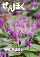 平成29年5月1日号の表紙は、薄紫色に可憐に咲き誇るカタクリです。クリックで目次へ移動します。