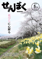 広報5月16日号の表紙は、桧内川堤沿いのソメイヨシノです。角館の桜まつり期間中には、咲き誇る桜を一目見ようと連日多くの観光客が訪れました。クリックで目次にリンクします。