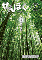 広報7月1日号の表紙は、乳頭温泉郷のブナのもり森林公園の鮮やかな緑に色づいた木々の様子です。緑と心地よい風が涼しさを感じさせてくれます。クリックで目次にリンクします。