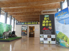 森と遺跡の展示室