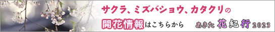 仙北市の春の開花情報　【あきた花紀行2023】