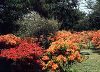 生保内公園