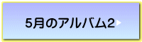 T̃AoQ 