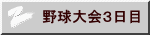 싅R