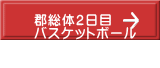 郡総体２日目 バスケットボール  