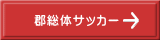 S̃TbJ[