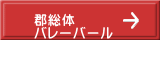 S o[o[  
