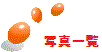 �ʐ^�ꗗ 