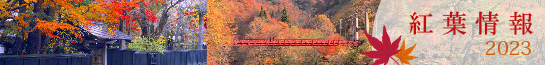 紅葉情報2023