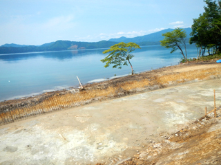 田沢湖クニマス未来館（仮称）　現地写真