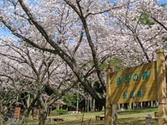 県民の森