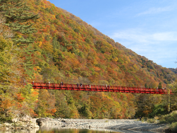 抱返り渓谷（紅葉）