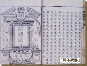 解体新書