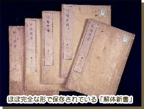 ほぼ完全な形で保存されている「解体新書」