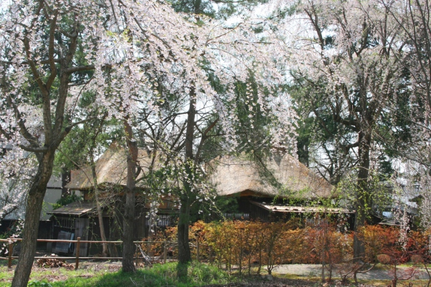 早くも