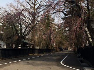 武家屋敷通り枡形から