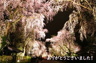 今年もありがとうございました！