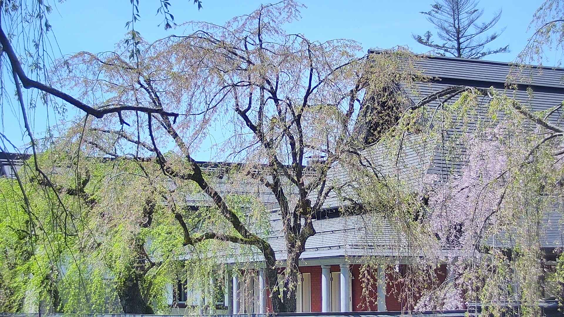 I