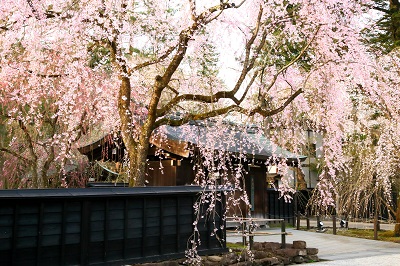 �p�ق̍��܂�Q�O�Q�U