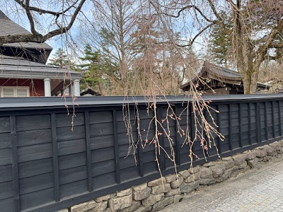 �{���̗l�q�ł��I