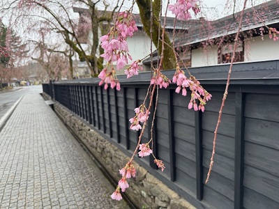 �{�����v���I�[�v���I